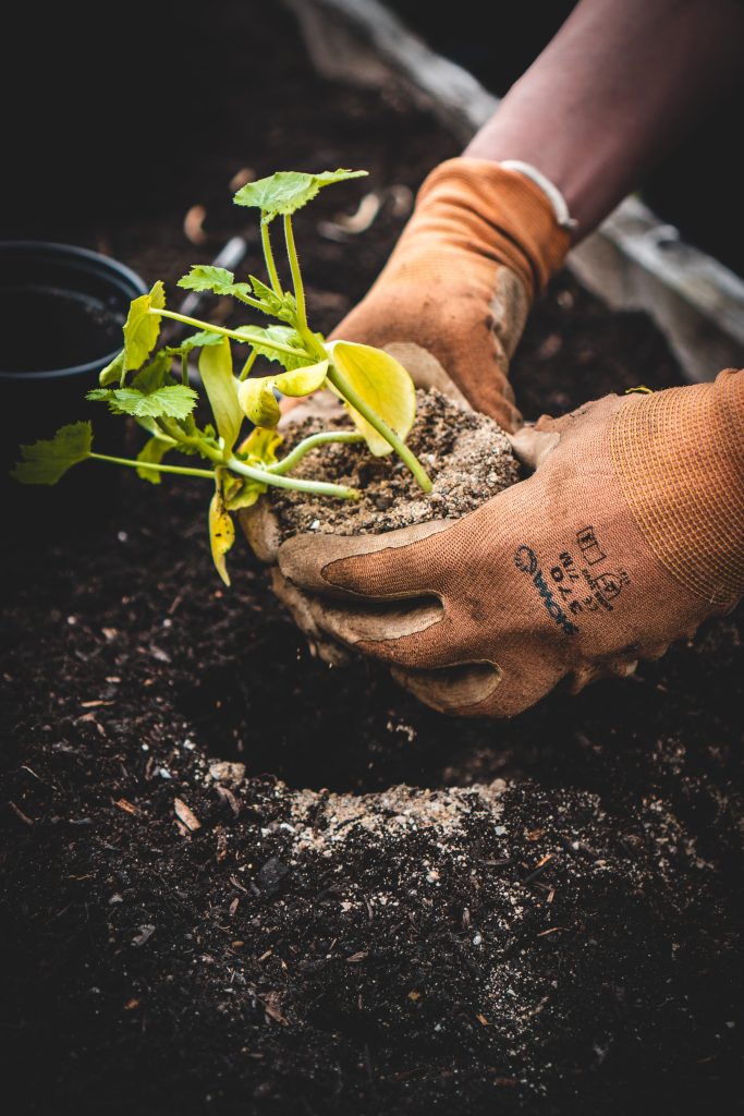 gardening Dorking